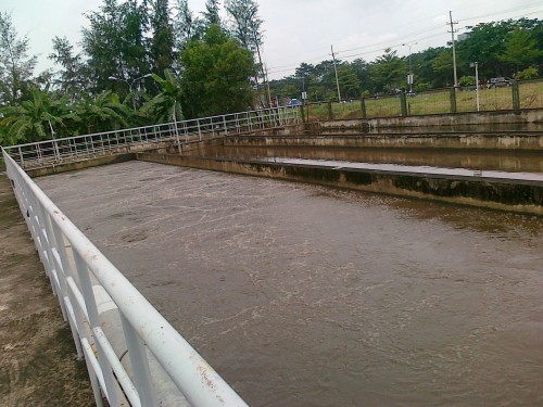 Ảnh hưởng của các yếu tố tới sự phát triển của vi sinh vật – bùn vi sinh