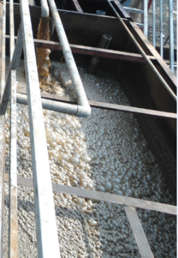 Xử lý nước thải sinh hoạt bằng công nghệ sinh học hiếu khí MBBR