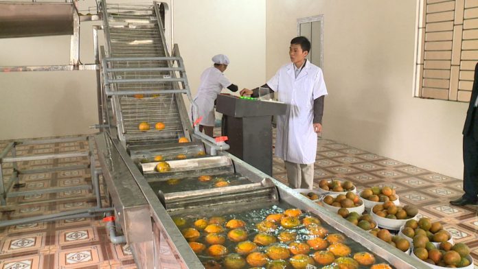 Xử lý nước thải nhà máy sản xuất nước ép trái cây