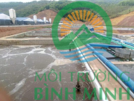 Xử lý nước thải chăn nuôi heo (lợn) chi phí thấp nhất toàn quốc