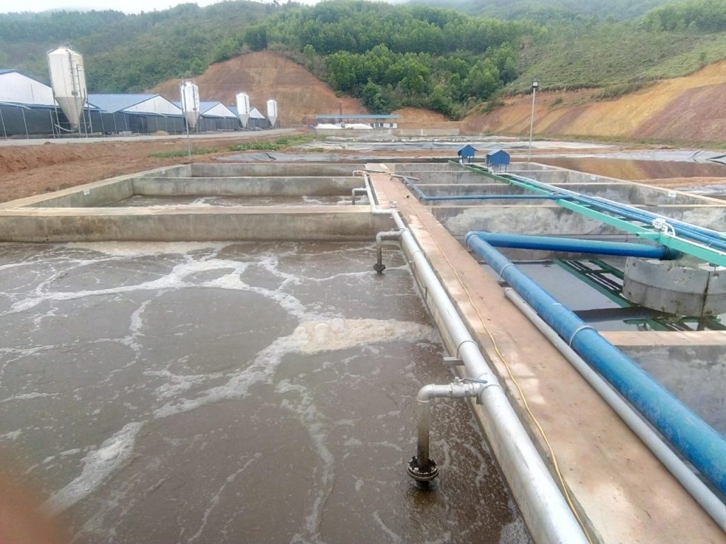 Xử lý nước thải chăn nuôi heo (lợn) chi phí thấp nhất toàn quốc